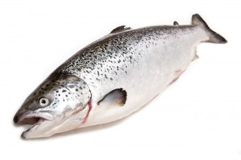 Salmon  ENTERO - 4/5 o 5/6 kg.