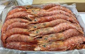 Langostino ENTERO -